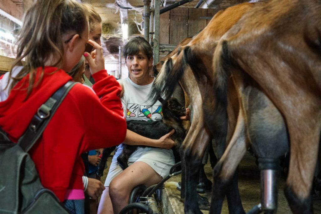 Visite des fermes pédagogiques de Margeride et visite de ferme lors d'un été à la ferme