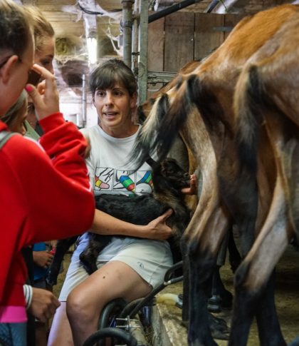 Visite des fermes pédagogiques de Margeride et visite de ferme lors d'un été à la ferme