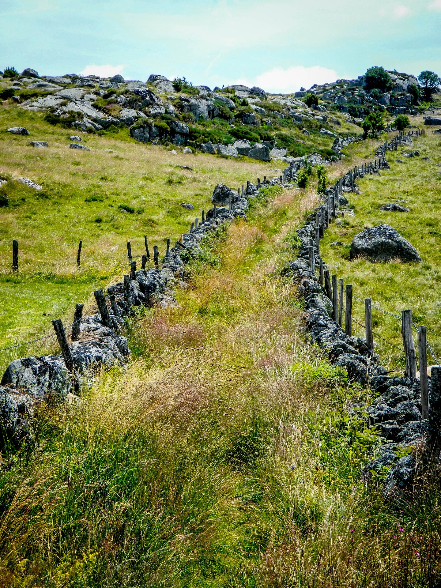 Aubrac ©Pixabay