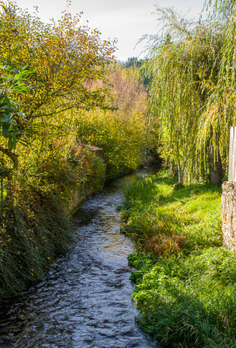 Le Malzieu_Lozère_Margeride_automne_octobre_2024_PERSO© Marion Larguier-BD-5 (1) Le Malzieu_Lozère_Margeride_automne_octobre_2024_PERSO© Marion Larguier-BD-5 (1)